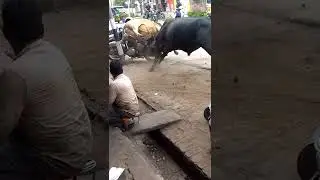 do sand Ki Ladai