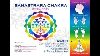sahaja yoga Sahasrara chakra fontanel bone.#god connection point