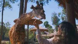 10 Must-Do Activities in Nairobi, Kenya &ndash; From Safaris to Nightlife!