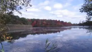 Long Island Fall Foliage (Autumn 2016)