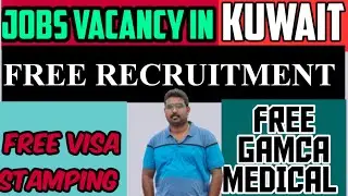 Kuwait Jobs 2022 | Latest Gulf Jobs 2022 | Job channel Malayalam | Job vacancy Malayalam | Jobs 2022