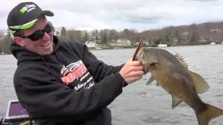Jerkbaits for Smallmouth Part 1