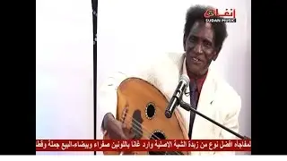 عثمان الاطرش - يا راسي طبعك