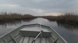 ace basin