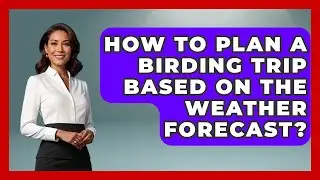 How To Plan A Birding Trip Based On The Weather Forecast? - Bird Watching Diaries