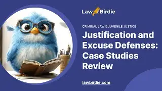 Justification and Excuse Defenses: Case Studies Review - Essay Example