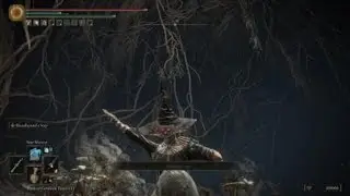 Vivian vs Malenia, Goddess of Rot