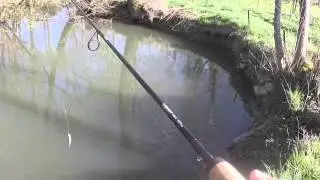 Peche de la truite au vairon manié | GoPro HD