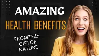 Mastic, Frankincense & Gum Arabic &ndash; Nature&rsquo;s Treasures & Their Amazing Benefits 