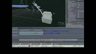 My Best Endorphin Video