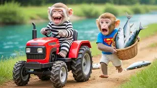 🐒🚜🔥 Monkey MoMo Catches a Sneaky Thief Stealing His Tractor &mdash; His Smart Revenge SHOCKS Everyone! 😱💥