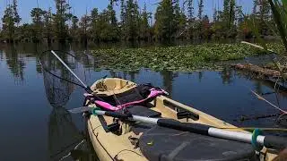 Draining Lake Conway - Let's Compare A One Week Change In Levels              #arkansas #nature
