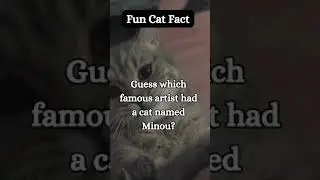 19 Fun, Strange, and Crazy Cat Facts! From @ShortFactWizard