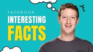 Unveiling Facebook: From Social Network to Global Phenomenon