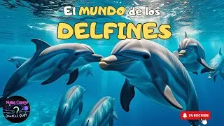 El Asombroso Mundo de los Delfines #Delfines #VidaMarina #AnimalesInteligentes #Oc&eacute;ano