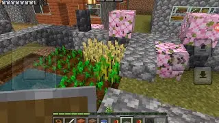 Rakensin viljapeltoon aidat Minecraftissa ja outoja juttuja alkoi tapahtua🌾