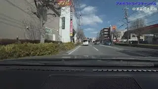 アオネコの千葉市の幕張本郷にある大きいサイズの専門店サカゼン幕張店までドライブ