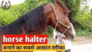 How to make horse halter || घोड़े का मोहरा कैसे बनाएं ?