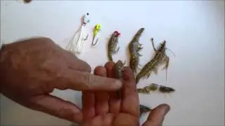Hooking Shrimp onto Hooks and Jigs