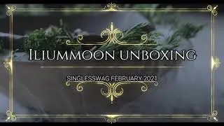 SINGLESSWAG NOT JUST FOR THE SINGLE LADIES! UNBOXING FEBRUARY SUBSCRIPTION BOX