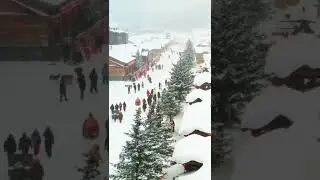 snoball in usa