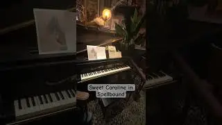Sweet Caroline in Spellbound on Sun Princess #spellbound #magic #sunprincess #shorts
