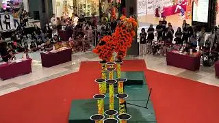 Amazing Lion Dance Competition 