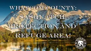 Whatcom County Proclaimed Sasquatch Protection And Refuge Area!