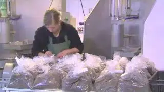 De Groene Vlieg