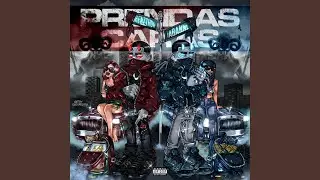 Perreandote (feat. Fvrid)