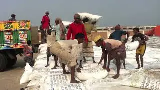 Navigability crisis on the Bagha bari &ndash; Aricha &ndash; Paturia river route