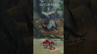 Seregios VS Chaotic Gore Magala Turf War #shorts #gaming #monsterhunter #monsterhunterrise