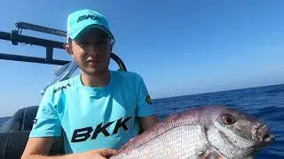 p&ecirc;che du pagre au tenya sparidae tour 2019