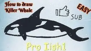 Косатка как нарисовать косатку (рыбу-кита) {Orcinus orca}