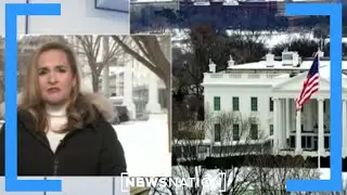 White House removes Truth Social post depicting Obamas as primates | NewsNation Live