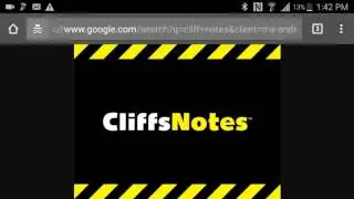 Mandela Effect (Cliff Notes Now CliffsNotes)
