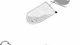 Bycatch