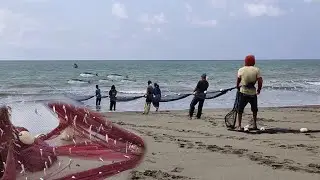 Jaring Pukat Tepi Pantai, Begini Cara Nelayan Desa Tarik Jaring Pukat Lingkar | Beach Seine Nets