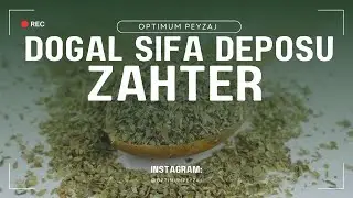DOĞAL BİR ŞİFA DEPOSU: ZAHTER! ZAHTER NASIL KULLANILIR? FAYDALARI NELERDİR?