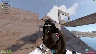 rust raid R1