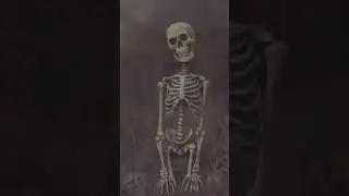 Skeleton Santa