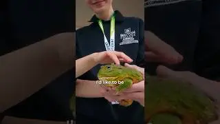 Study Zoology at Bicton College! 🐒🦎 #zoology #devon #bictoncollege