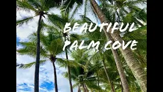 Beautiful Palm Cove, Queensland 🇦🇺