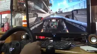 F1 2013 with Logitech Driving Force GT
