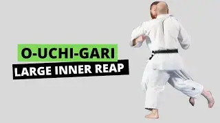 O-Uchi-Gari || Large Inner Reap