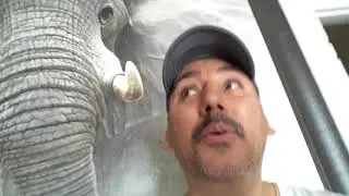 Andele como no... como no dona plasma