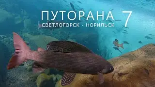ПУТОРАНА. Светлогорск - Норильск. Часть-7. Орокан