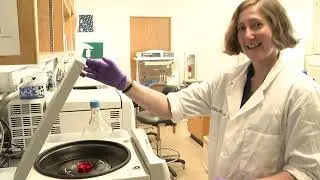 eDNA lab overview