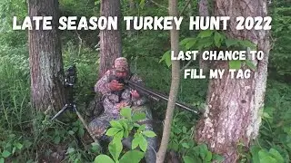 Turkey Hunting  2022 (Last Chance, Can I get it Done?)