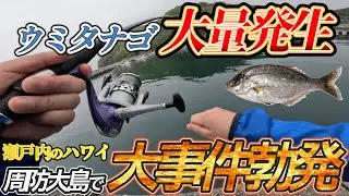 【ついにキレた】瀬戸内のハワイ「周防大島」で釣りをしたらとんでもない事件が起こった!!!!!!!【ウミタナゴ】